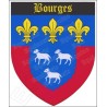 Calamita regionale – Blasone Bourges
